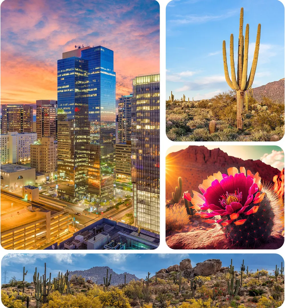 Phoenix skyline and Sonoran desert